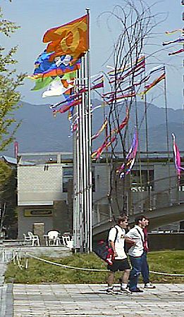 flag10.jpg (44925 BYTES)