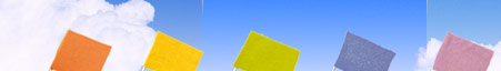 FLAGS