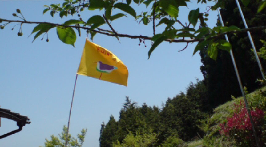 studio-flag2.jpg