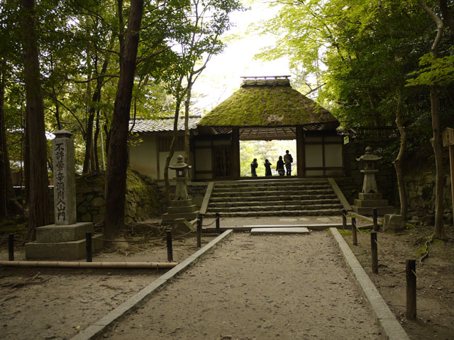 20110503-honenin.jpg 20110503-honenin.jpg