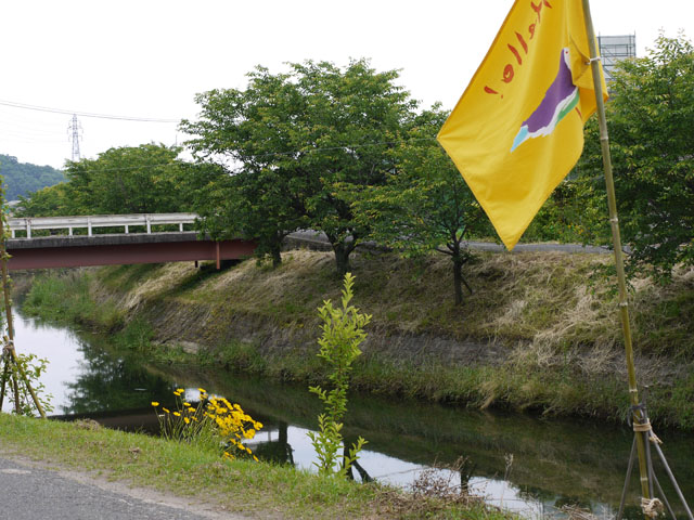 20150524-otonasigawa.jpg 20150524-otonasigawa.jpg