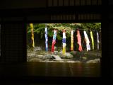 20110505-hniwa1.jpg